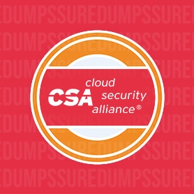 Cloud-Security-Alliance Dumps